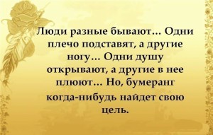 image (15)