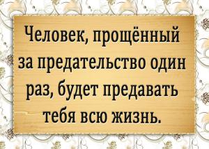 image (16)