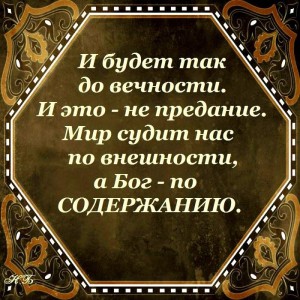 image (17)