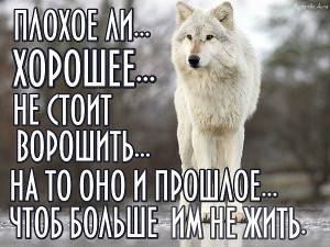 image (17)