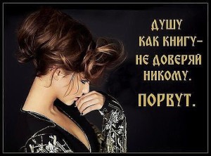 image (17)