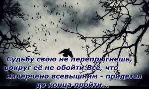 image (19)