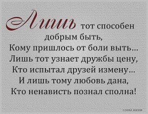 image (21)
