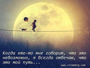 image (23)