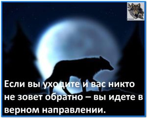 image (24)