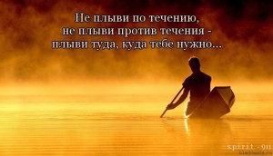 image (25)