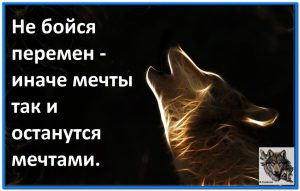 image (25)