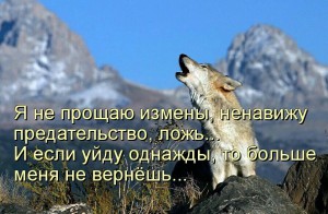 image (26)