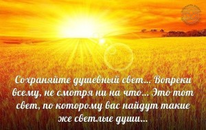 image (27)
