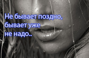 image (28)