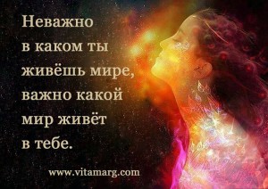 image (29)