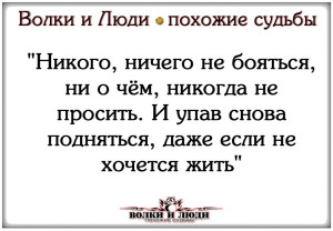image (29)