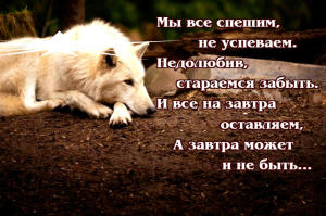image (30)