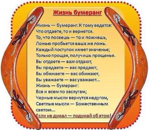 image (31)
