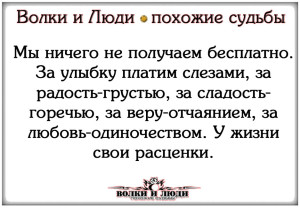 image (31)
