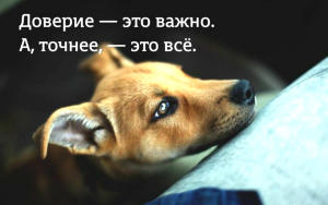 image (32)