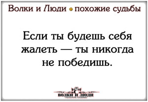 image (33)