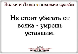image (34)