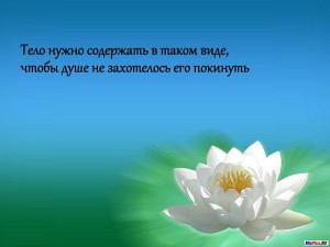 image (4)