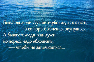image (5)