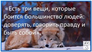 image (5)