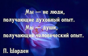 image (6)