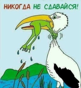 image (6)