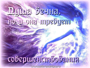 image (7)