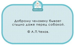 image (7)