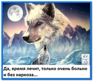 image (7)