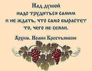 image (8)