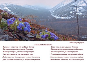 image (8)