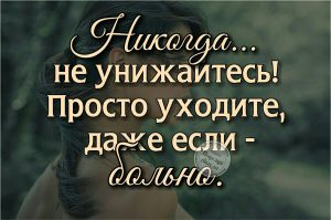 image (8)