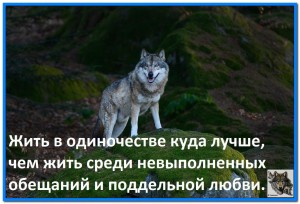 image (9)
