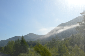 DSC_0301