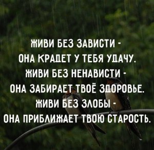 fWZXWrmGFa8