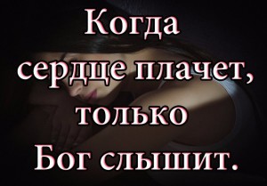 image (11)