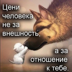 image (13)