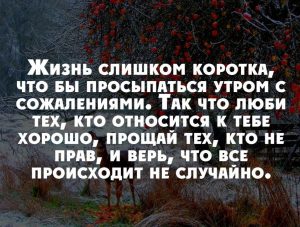 image (15)