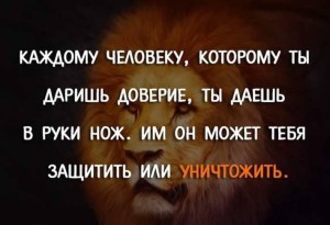 image (16)