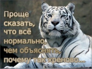 image (17)