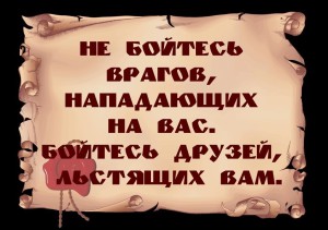 image (18)