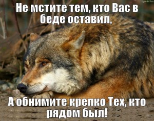 image (20)
