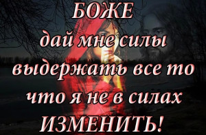 image (3)