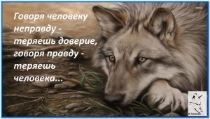 image (4)