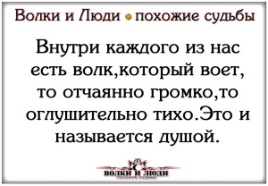 image (5)