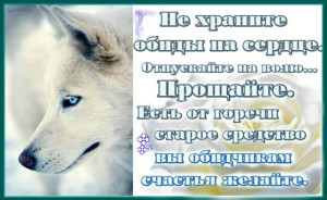 image (11)