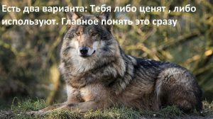 image (1)