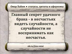 image (11)