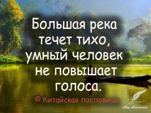 image (12)
